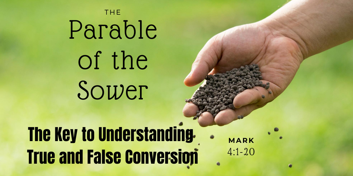 The Parable Of The Sower Mark 4 1 20 Christ Fellowship