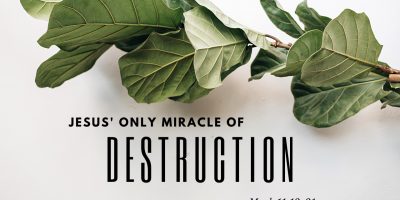 Jesus’ Only Miracle of Destruction (Mark 11:12-21)