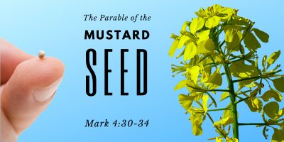 The Parable of the Mustard Seed (Mark 4:30-34)