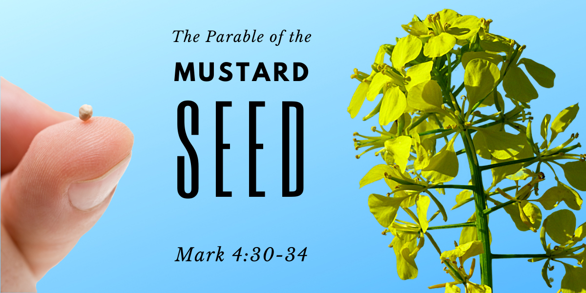 The Parable Of The Mustard Seed Mark 4 30 34 Christ Fellowship