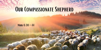 Our Compassionate Shepherd (Mark 6:30-44)